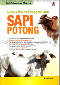 Sukses usaha penggemukan sapi potong
