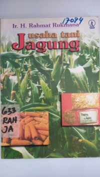 Usaha Tani Jagung