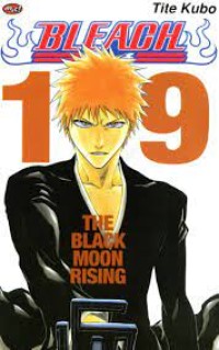 Bleach vol. 19 : the black moon rising