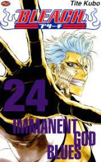 Bleach vol. 24 : immanent god blues